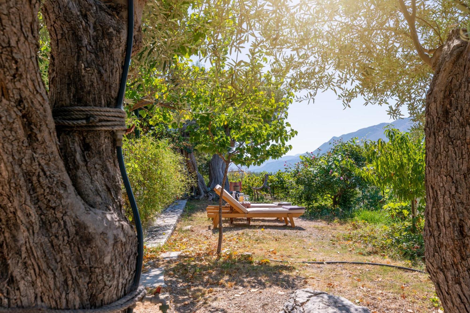 Liodentro - Olea Villa Plataria Exterior photo