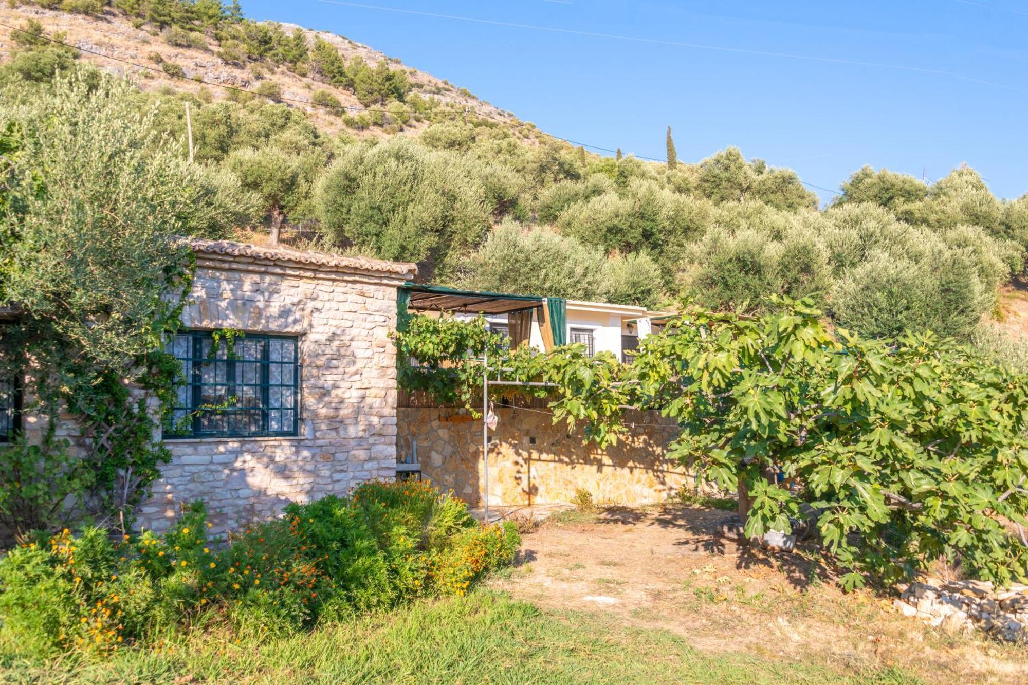 Liodentro - Olea Villa Plataria Exterior photo